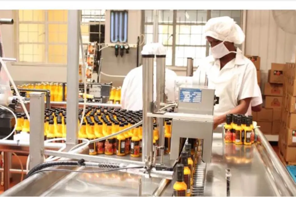 Caribbean expected to see growth after strong 2017 exports - WIC News