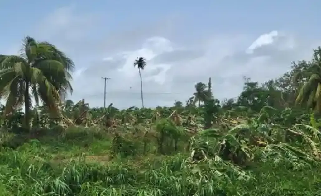 Hurricane Beryl destructs major of agriculture sector in St Vincent
