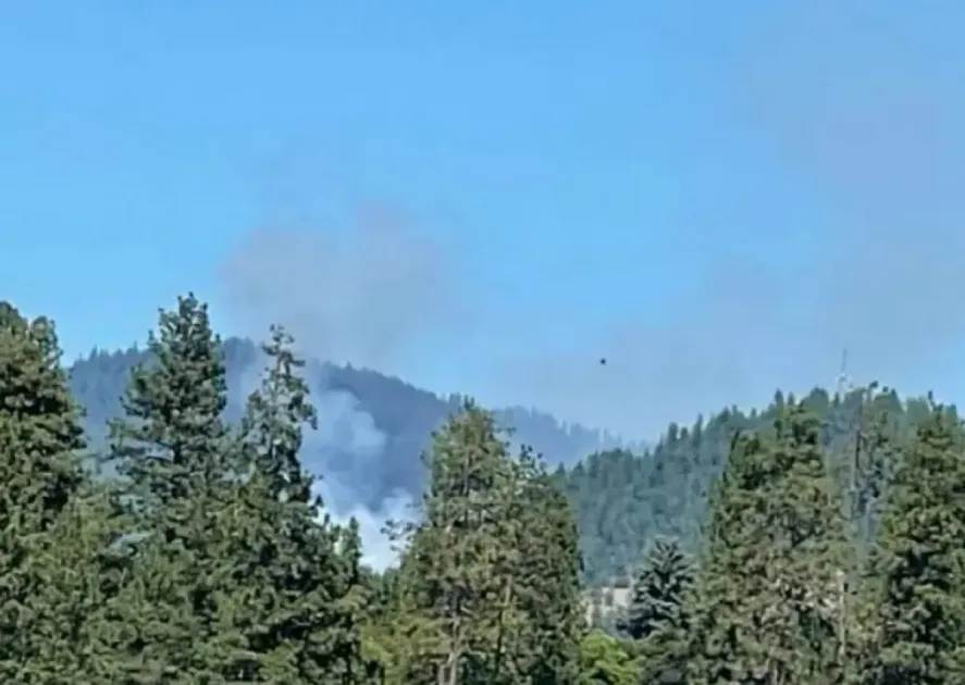 Ambush in Idaho: Two firefighters killed responding to wildfire near ...
