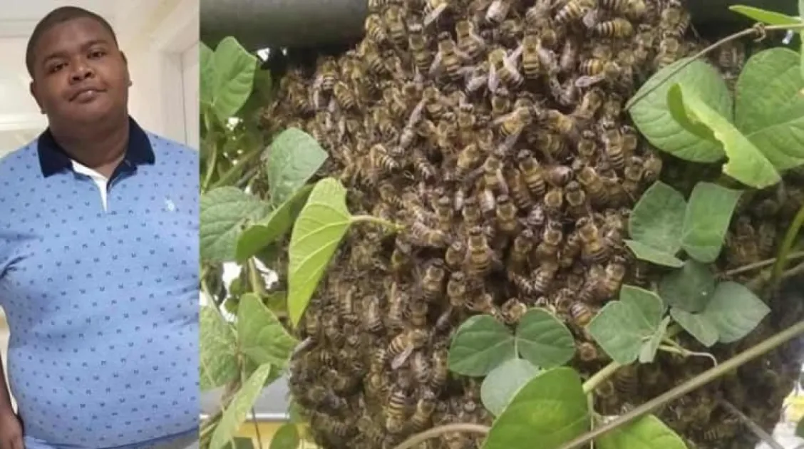 Abtak.com - Other - News Image