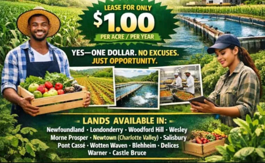 Dominica makes 300 acres of state land available at $1 per acre to boost agriculture 