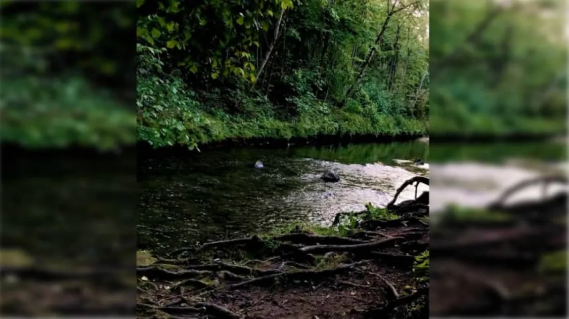 Belize: Two teens rescued after being pulled underwater at Bullet Free Fa...