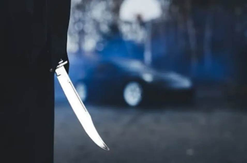 Bahamas: Man stabbed to death in residential area near Homestead Street