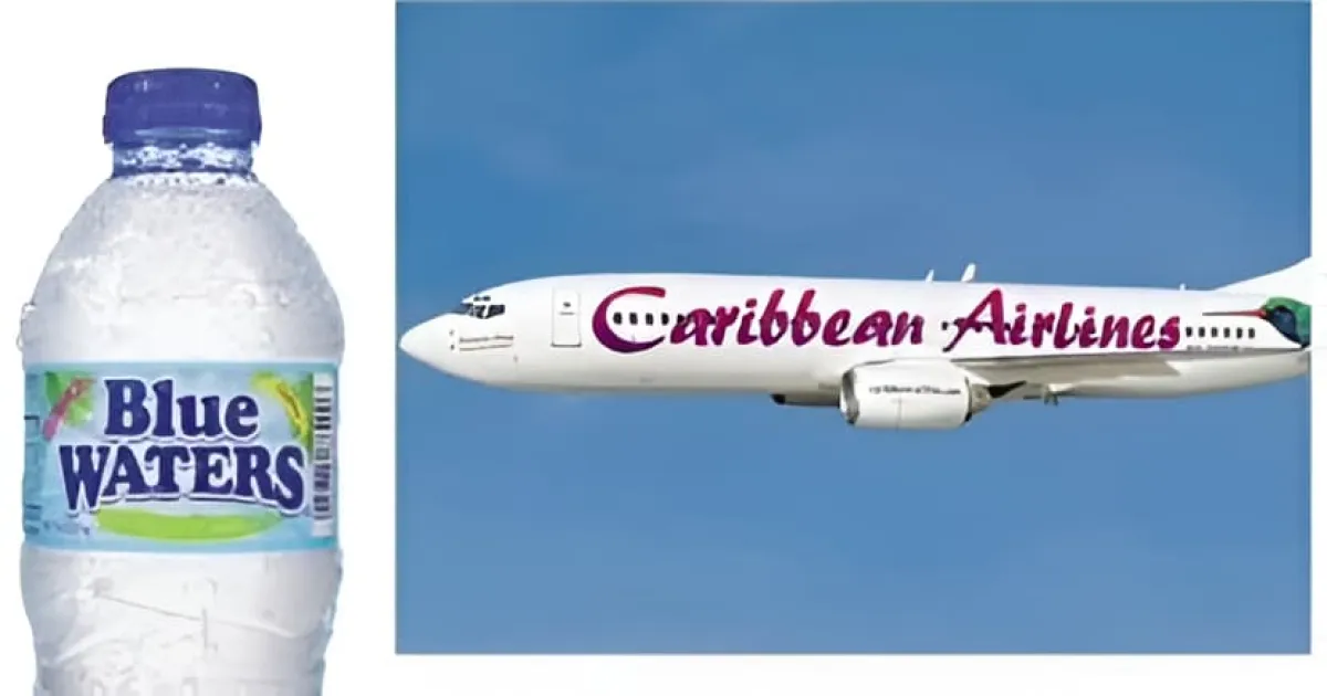 Caribbean Airlines ends 15-year partnership with Blue Waters after owners' detention