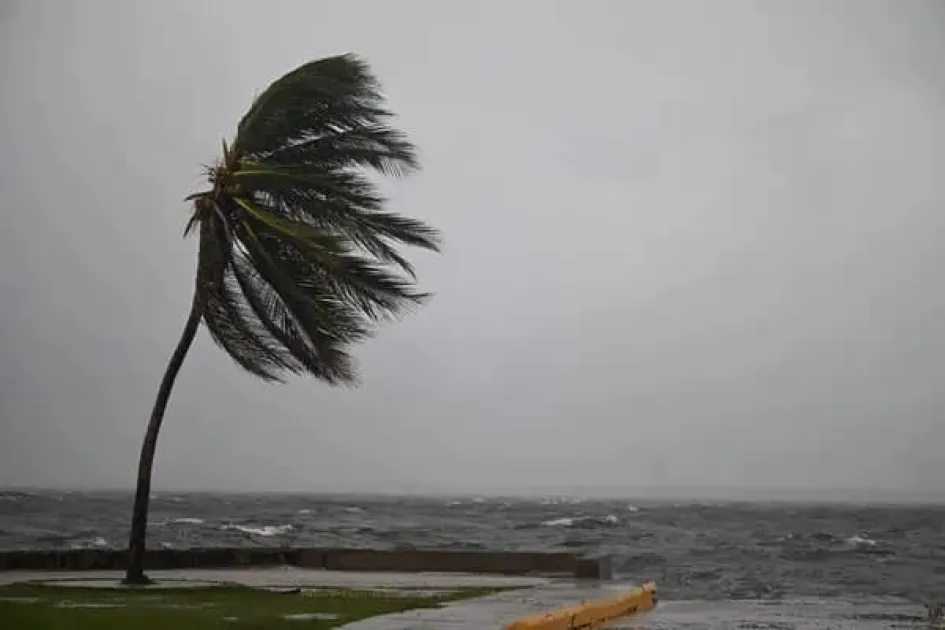 Met Service warns of strong winds, rough seas across Jamaica
