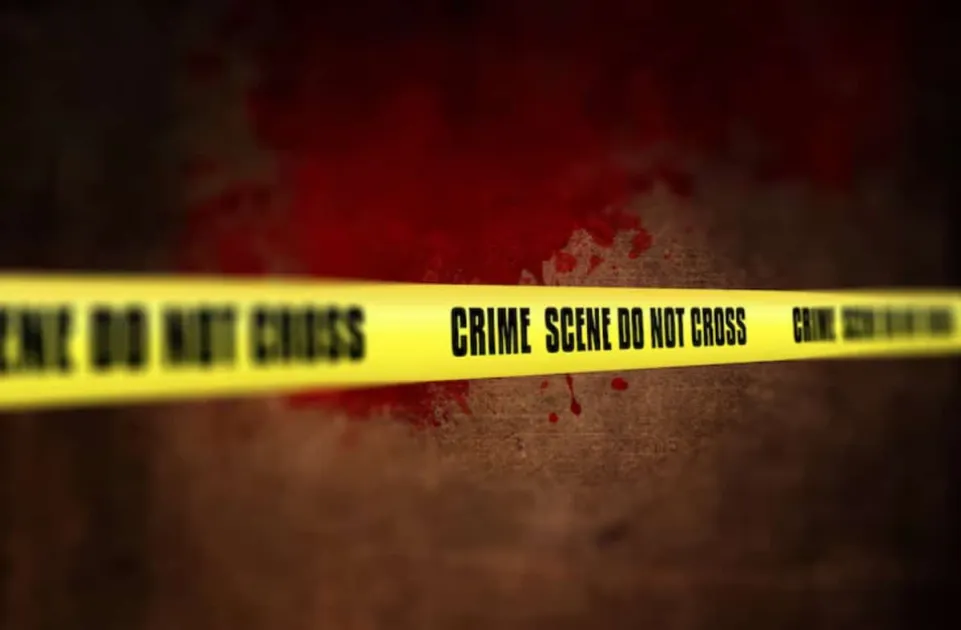 Bahamas: 37-year-old police officer dies in traffic collision on Prince C...