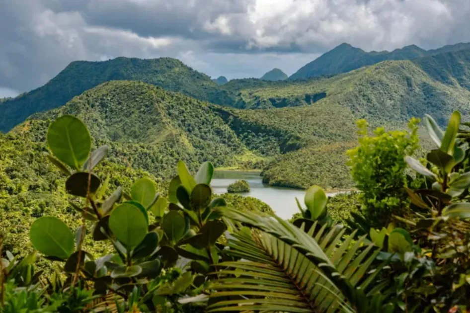 Travel + Leisure highlights Dominica’s nature, culture and authentic Caribbean experience