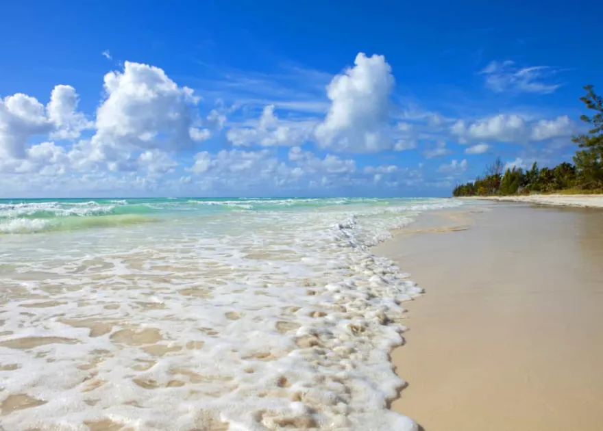 Bahamas: American woman, 80, dies after being found unresponsive in Grand Bahama waters